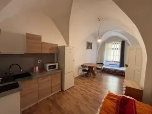 Prodej činžovního domu, Jihlava, Židovská, 180 m2