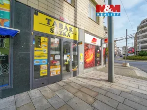 Pronájem obchodního prostoru, Plzeň - Jižní Předměstí, Goethova, 33 m2