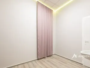 Pronájem obchodního prostoru, Brno, Masarykova, 176 m2