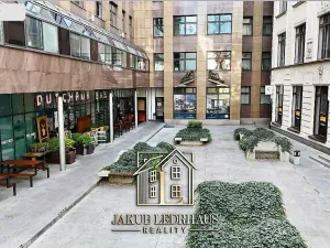 Pronájem obchodního prostoru, Praha - Nové Město, Vladislavova, 63 m2