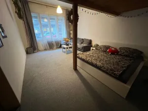 Prodej bytu 2+kk, Praha - Holešovice, Veverkova, 55 m2