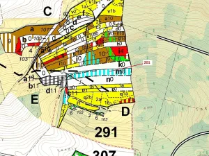 Dražba lesa, Loukovice, 7796 m2