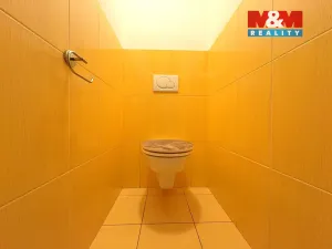 Prodej restaurace, Velké Žernoseky, 438 m2