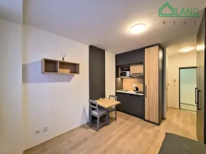 Pronájem bytu 1+kk, Brno, Francouzská, 20 m2