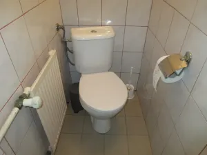 Prodej rodinného domu, Skály, 438 m2