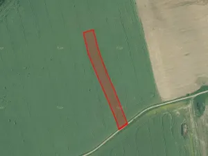 Prodej pole, Olešník, 28216 m2