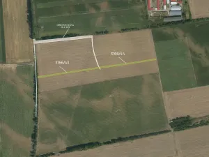 Prodej pole, Prušánky, 4991 m2