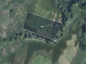 Prodej pole, Hrabětice, 9343 m2