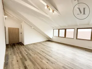 Prodej bytu 3+kk, České Budějovice, K. Weise, 124 m2