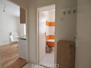 Pronájem bytu 1+kk, Brno, Obilní trh, 20 m2