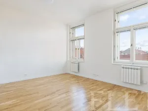 Pronájem bytu 1+kk, Praha - Karlín, Vítkova, 29 m2