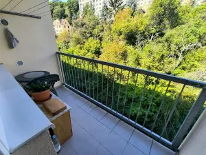 Pronájem bytu 1+1, Děčín, Na Pěšině, 33 m2