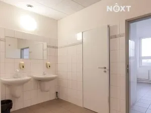 Pronájem kanceláře, České Budějovice, K. Světlé, 35 m2