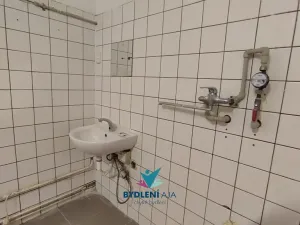 Pronájem obchodního prostoru, Teplice, Masarykova třída, 120 m2