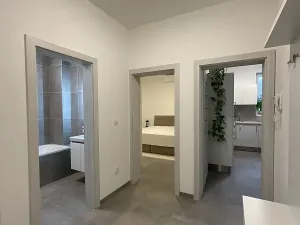 Pronájem bytu 2+kk, Želešice, Sádky, 53 m2