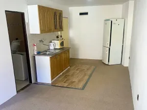 Pronájem bytu 1+kk, Plzeň, Staniční, 28 m2