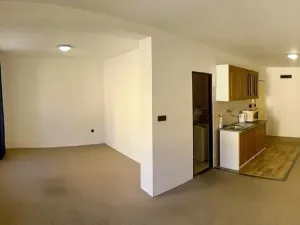 Pronájem bytu 1+kk, Plzeň, Staniční, 28 m2