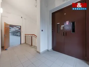 Prodej obchodního prostoru, Nejdek, Karlovarská, 5519 m2