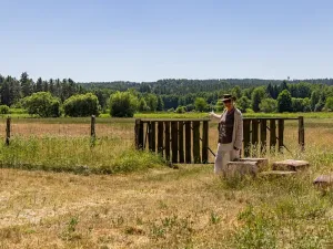 Prodej louky, Doksy, 46765 m2