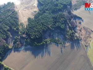 Prodej lesa, Bohdalov, 34642 m2