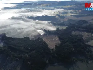 Prodej lesa, Bohdalov, 34642 m2