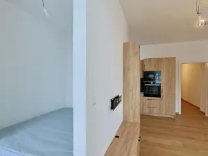 Pronájem bytu 2+kk, Brno, Stavební, 41 m2