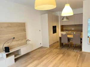 Pronájem bytu 2+kk, Praha - Vysočany, Bassova, 50 m2