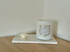 Prodej ubytování, Praha - Vršovice, Žitomírská, 92 m2