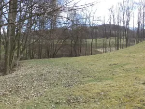 Dražba louky, Heřmanov, 4633 m2