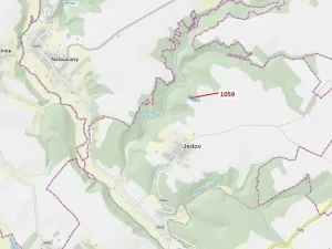 Dražba lesa, Náměšť nad Oslavou, 3646 m2