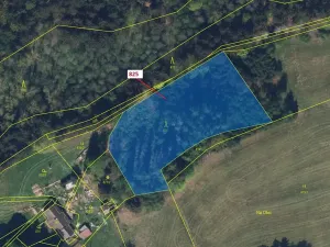 Dražba lesa, Ohnišov, 4071 m2