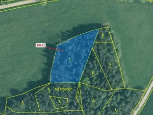 Dražba lesa, Kuřimany, 3340 m2