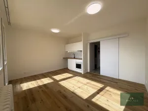 Pronájem bytu 1+kk, Plzeň, alej Svobody, 34 m2