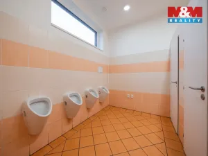 Pronájem restaurace, Olomouc - Nemilany, 600 m2