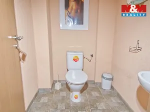 Pronájem obchodního prostoru, Orlová - Lutyně, Masarykova třída, 222 m2