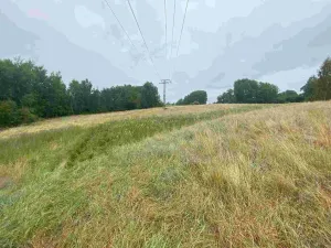 Prodej pole, Nové Sedlo - Loučky, 49321 m2