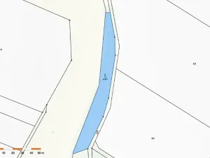 Prodej lesa, Dolní Vilémovice, 1995 m2