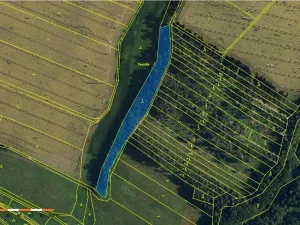 Prodej lesa, Dolní Vilémovice, 6622 m2