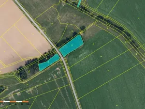 Prodej lesa, Dolní Cerekev, 11509 m2