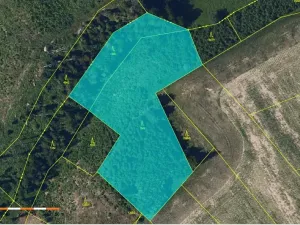 Prodej lesa, Česká Bělá, 8665 m2