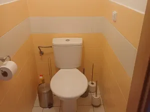 Pronájem bytu 2+kk, Brno, Kosmova, 61 m2