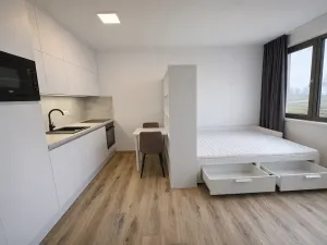 Pronájem bytu 1+kk, Letovice, Komenského, 29 m2