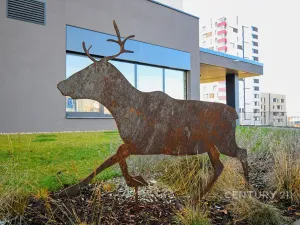 Prodej bytu 1+kk, Praha - Hloubětín, Laponská, 30 m2