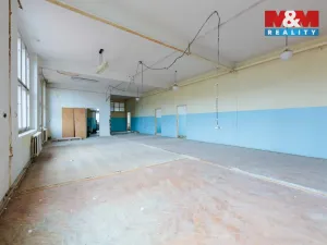 Prodej činžovního domu, Aš, Kotkova, 2400 m2