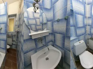 Prodej vícegeneračního domu, Lahošť, Švermova, 250 m2