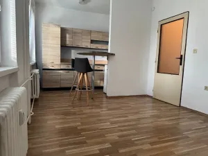 Prodej bytu 1+kk, Ostrava, Heleny Salichové, 27 m2