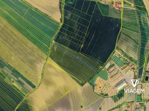 Prodej pole, Morkůvky, 1554 m2
