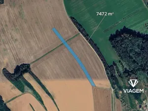 Prodej podílu pole, Březolupy, 3736 m2