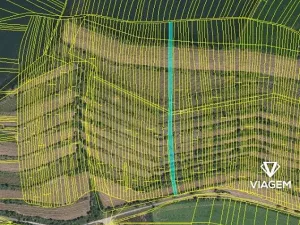 Prodej pole, Morkůvky, 2859 m2
