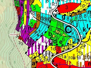 Dražba lesa, Spešov, 2318 m2